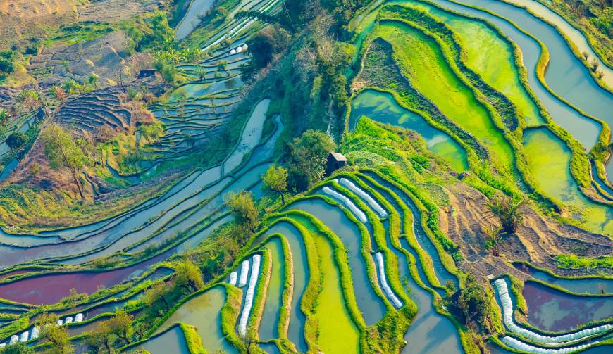 宝妈必备神器：莲花县产品视频拍摄轻松育儿好帮手