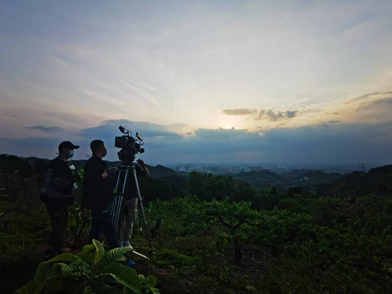 聚焦莲花县产品宣传视频拍摄公司，用专业实力铸就品牌传播传奇