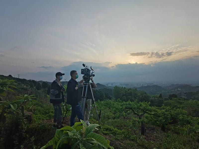 创意破圈！莲花县电商产品宣传视频用故事化叙事引爆流量