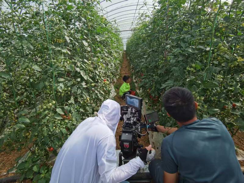 莲花县产品宣传视频拍摄公司进阶指南，助力品牌抢占传播高地